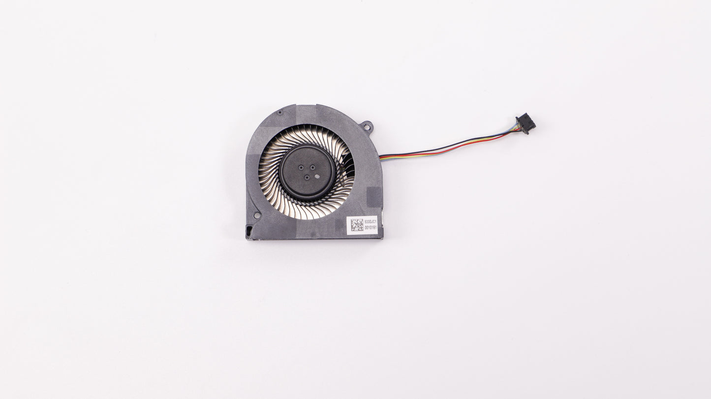 Fan