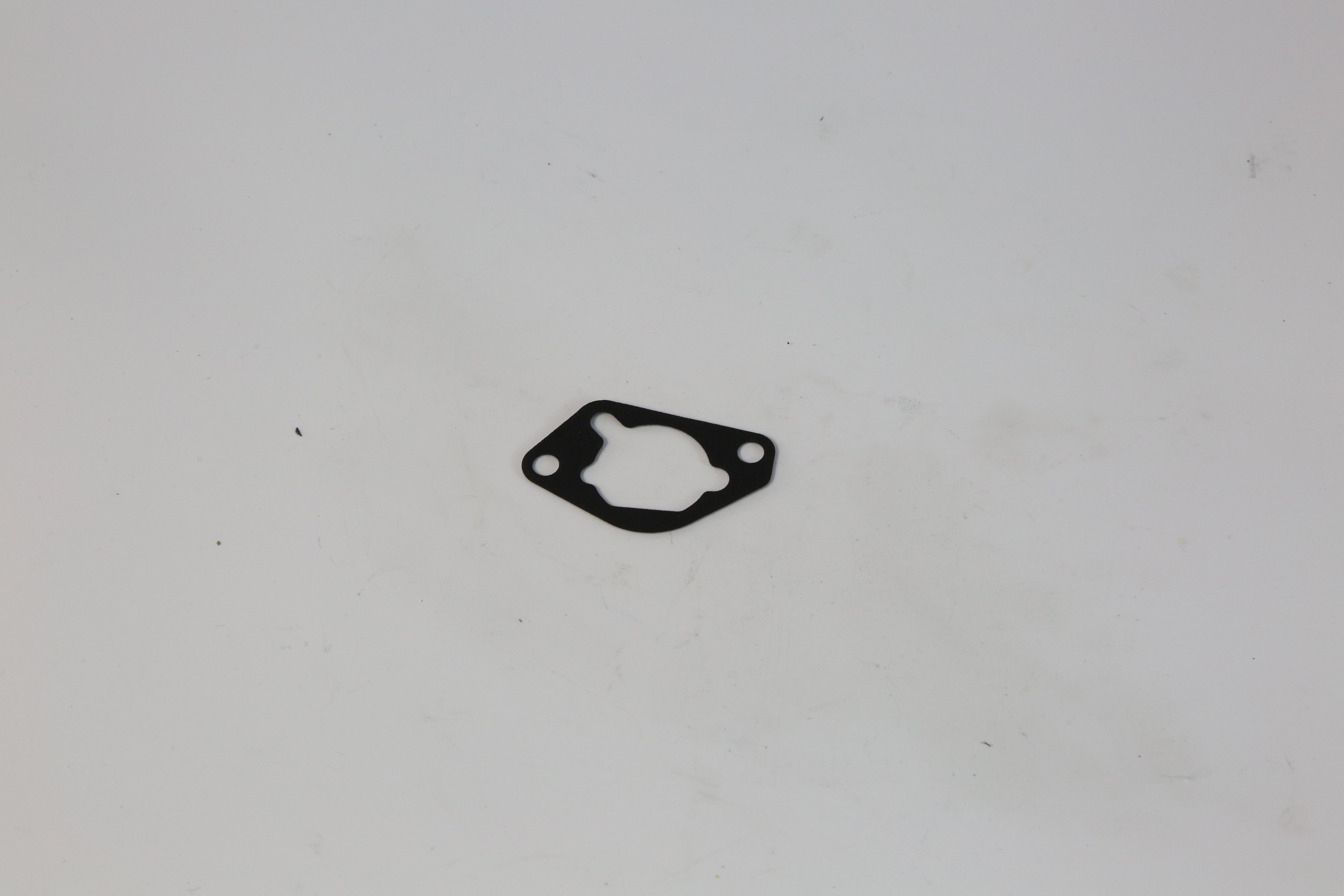 D12000i - Air Filter Pad (ZS)