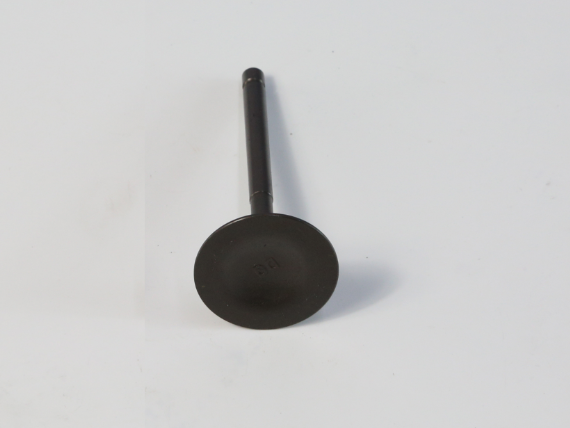 YC.DZ.GR000234-D12000i - Intake Valve (ZS)