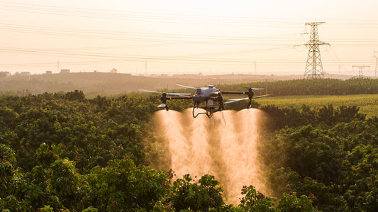 The impact of using DJI Agras T50 drones in litchi cultivation - from the perspective of Drone Robotic Tech