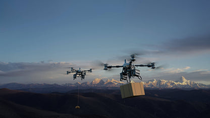 DJI FlyCart 100