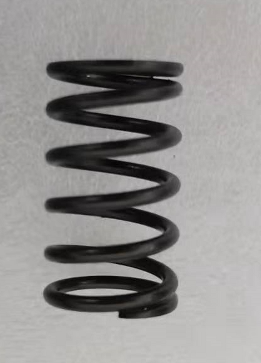 D9000i-Valve Spring