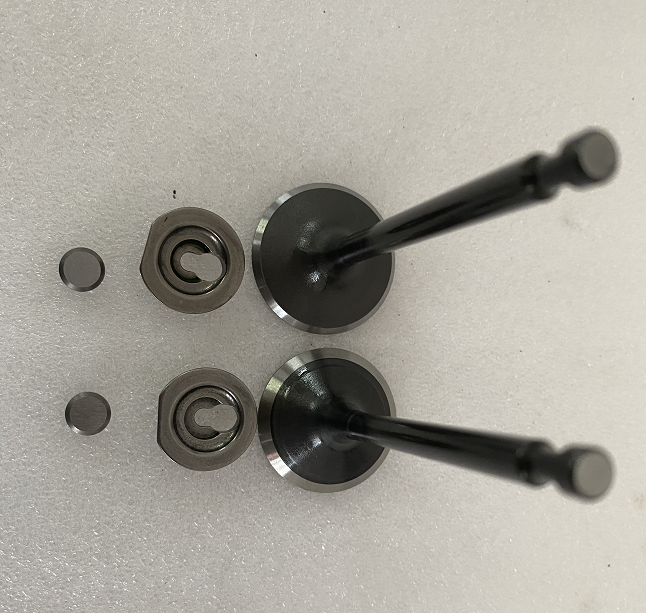 D9000i-Valve Module and Spring Base Material Kit