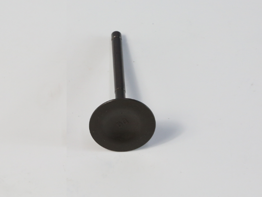 YC.DZ.GR000234-D12000i - Intake Valve (ZS)
