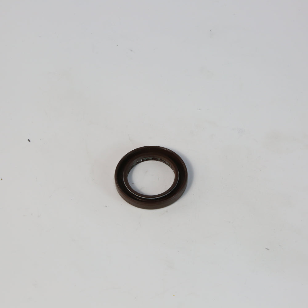 YC.DZ.GR000250-D12000i - Oil Seal A (ZS)
