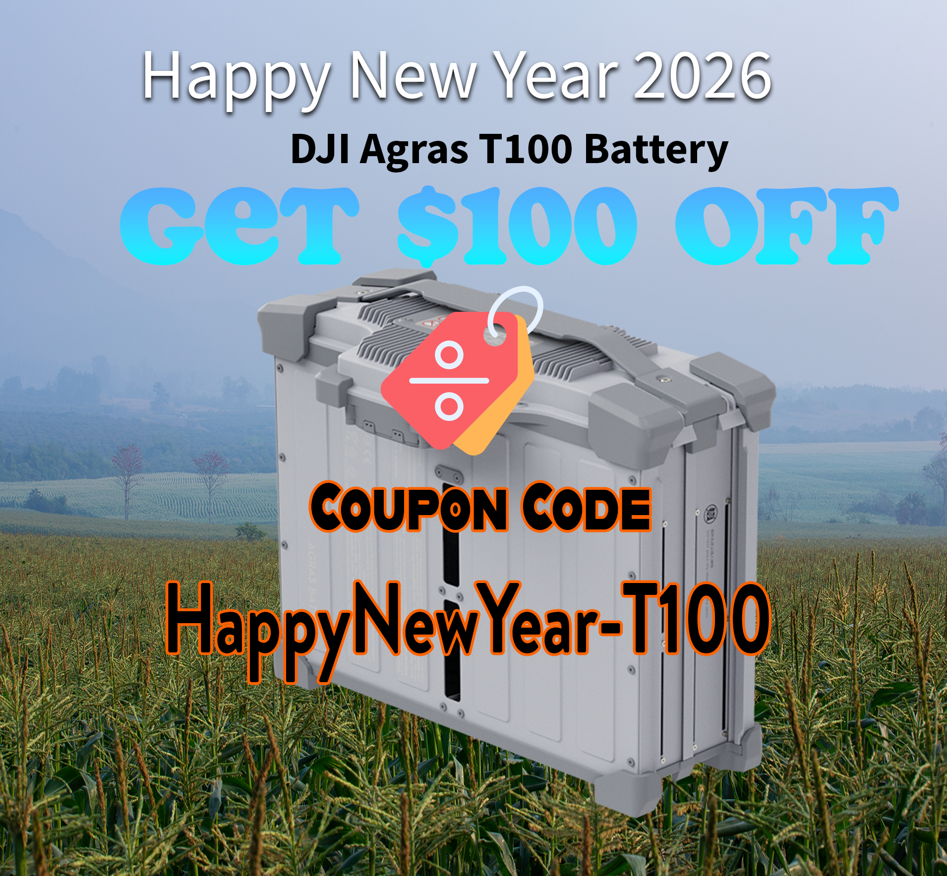 Coupon: HappyNewYear-T100