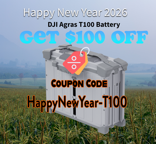 Coupon: HappyNewYear-T100