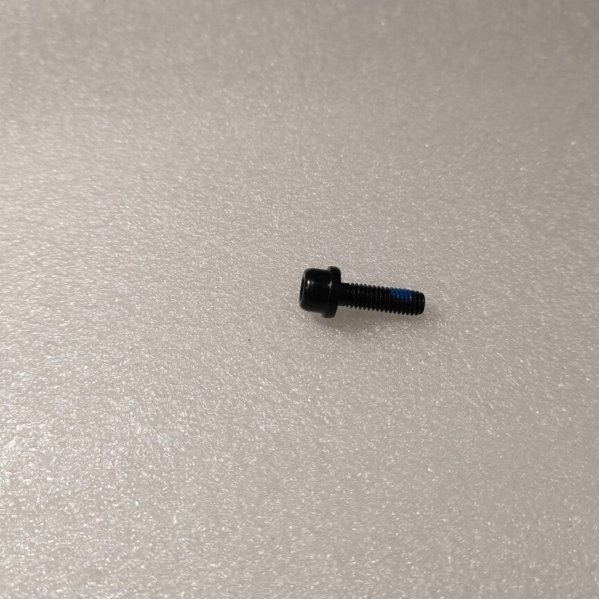 YC.ST.LL000696-Screw (M60-HC02000180-100080-4203-Y)