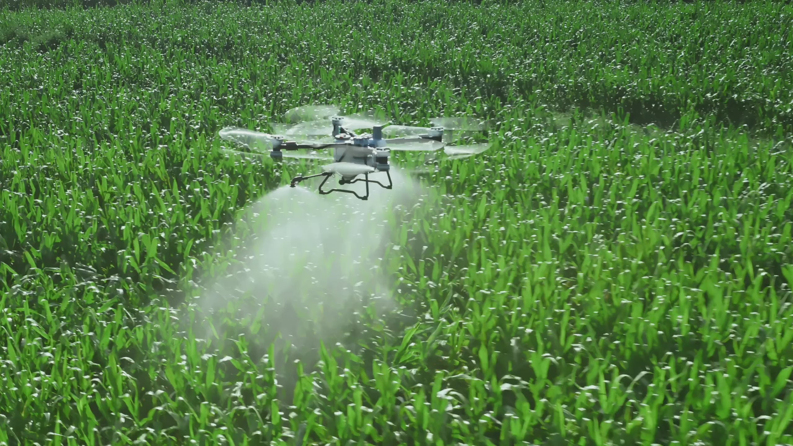 Load video: DJI Agras T100